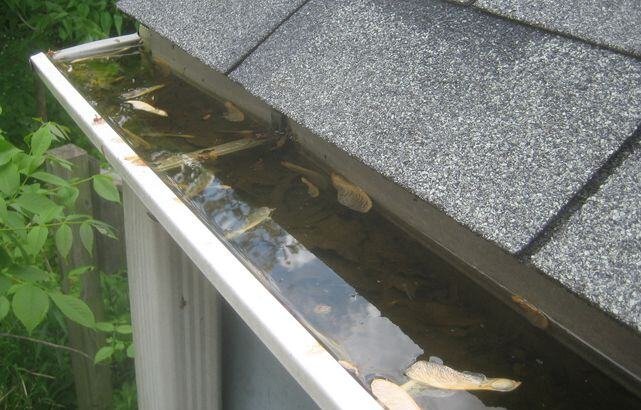 clogged gutters increase gutter cleaning cost