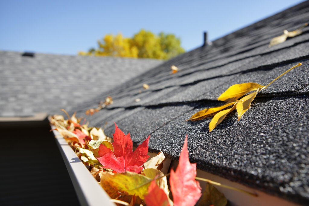 leaves on roof in  milwaukie oregon
