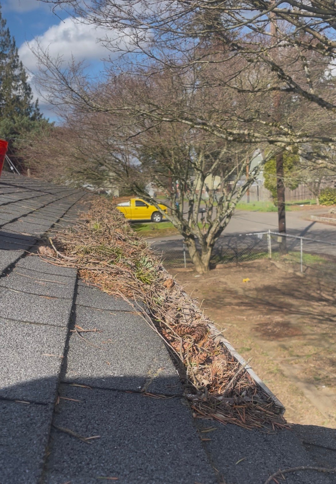Before gutter cleaning - Milwaukie OR
